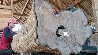 The giant teak wood is very dangerous and full of surprises, look what happens!