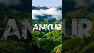 Comment Your Name #ankurkumar