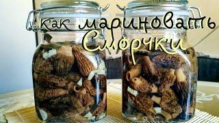 Как мариновать сморчки