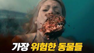 사나운 식인 맹수들의 습격! 최고의 동물 공포영화 모음 (리메이크)