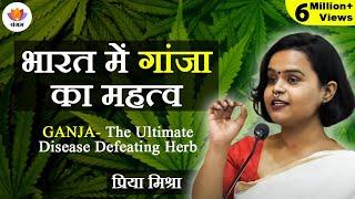 भारत में गांजा का महत्व | Cannabis in India | Priya Mishra | Medicinal Use Of Bhang In Ayurveda