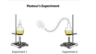 Pasteur's Experiment