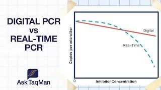 Digital PCR vs. Real-time PCR - Ask TaqMan #30