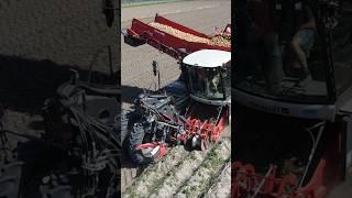 Dewulf RA3060  #agriculture #harvest #tractor #farming #landwirtschaft #agro #traktor