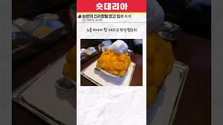 논란의 신라호텔 망고 빙수 ㄷㄷ