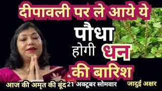 दीपावली पर ले आये ये पौधा होगी धन की बारिश #diwali #problem #plant #money #family #astrology#tips