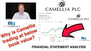 Camellia 2021 - Financial Analysis: Why is this company trading at a discount to book value?