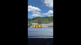 养鱼日记：那些年我们一起追过的梦
