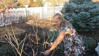 How To Spread Fruit Tree Branches Using the Grow a Little Fruit Tree Methods