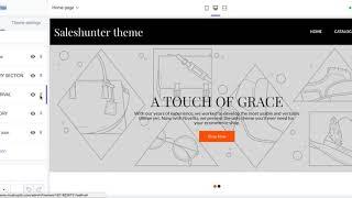 SalesHunter Shopify theme - Section setup