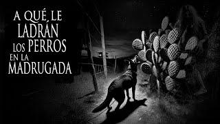 MI PERRO JUEGA CON EL FANTASMA DE MAMÁ (HISTORIAS DE HORROR DE NUESTRAS MASCOTAS)