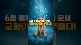 [골목점집 운세]  개띠 주간운세｜믿고 기다리면 복이 오는 주간입니다! #골목점집  #띠별운세  #오늘의운세  #월간운세  #주간운세  #타로운세  #사주풀이  #신점운세