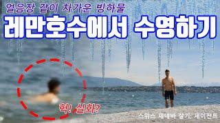 스위스 제네바 살기 - 레만호수에서 수영하기, 얼음장 같이 차가운물, Swim in Lake of Leman, 제이전트, 제네바, 스위스, 레만호