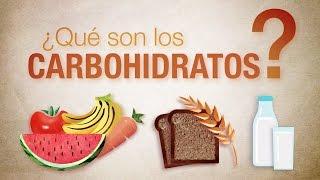 ¿Qué son los carbohidratos?