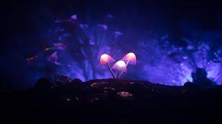 Relaxing Fairy Music - Dark Fae | Soothing, Sleep, Peaceful 180