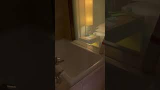 Bathroom with electronic shade