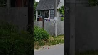Чоловік загорнувся у прапор РФ перед похороном захисника у селі Юзвин на Вінниччині 22.06.2025