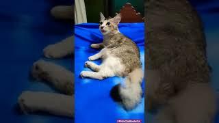 Have A Relax!!