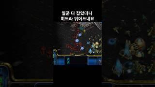 일꾼 다 잡았더니 히드라 뛰어드네요 #스타크래프트 #프로토스 #히드라 #전략 #