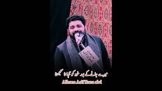 Ya Ali khud ko Tanha na samjhna!|Allama Asif Raza alvi|#shorts #viralvideo #whatsappstatus