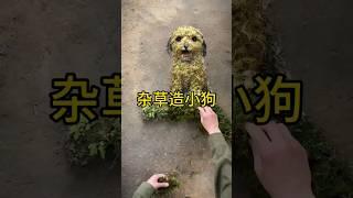 这手艺把小狗造活了 #科普 #百科密码