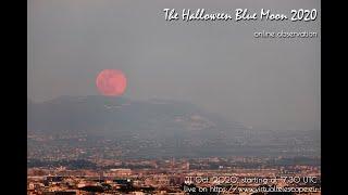 The Halloween Blue Moon 2020:  online observation - 31 Oct. 2020