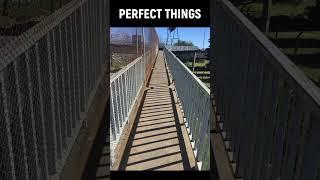 Perfect things #perfectthings  #trending #shorts #facebook #random #reels #funny