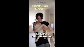 [ENG SUB] 20240417 Hou Minghao - Day 2: Daily Playtime with dogs || "Tenday (十天之后回到现实)"