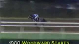 Spectacular Bid's walkover in the 1980 Woodward Stakes