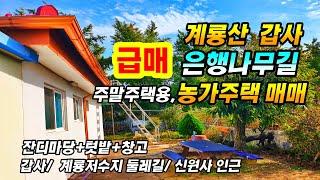 (급매)계룡산 갑사 가는 은행나무 길 2차선 접 농가주택 주말주택 매매 계룡저수지 둘레길 신원사 주변 충남 공주부동산 주택매매~전원주택 시골집 토지매매 행운땅집부동산tv