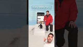 Can I Teach Penguin To Subscribe? #challenge #funny #mrbeastshorts #mrbeast #shorts #subscribe