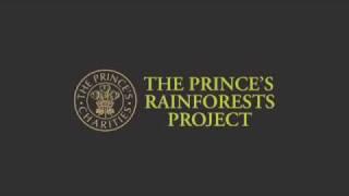 Scott Poynton's frog message for The Prince's Rainforests Project