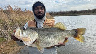 This honeyhole is unreal! Literally nothing but giant bass #fish #fishing #bassfishing #bigfish