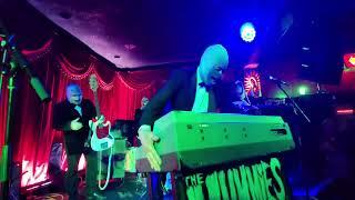 THE MUMMIES LIVE at ALEX'S Bar 4/29/2023 FULL SHOW