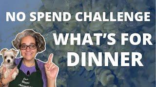 No Spend November Whats for Dinner | Pantry and Freezer Challenge