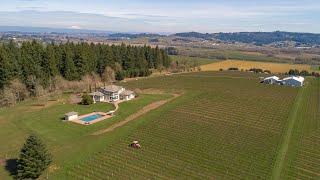 Valley Vineyard Oregon - NwVideoTours