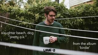 Slaughter Beach, Dog - Pretty O.K.