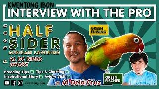 RARE HALF SIDER AFRICAN LOVEBIRD PARENTS REVEALED | AVIARY VISIT SA AL DC BIRDS AVIARY WITH AL DCRUZ