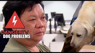 Dog Problems - Border Security Australia | DangerTV