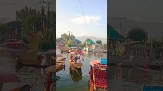 The Miraculous Dal Lake of Kashmir | Karanbir Singh Vlogs