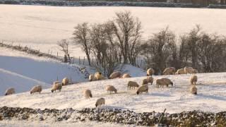 Gerald Finzi - Cello Concerto Op. 40 II - Andante Quieto