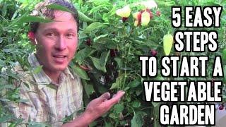 5 Easy Steps to Start a Vegetable Garden in Las Vegas or Anywhere