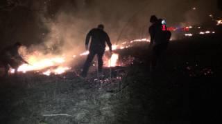 Incendiu de vegetatie pe Calea Caransebesului din Resita