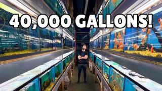 300 Tanks, 40,000 Gallons & Monster Cichlids – INSANE Fish Store Tour (NEVER Filmed Before!)