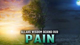 WHAT IS ALLAH’S WISDOM BEHIND PUTTING US THROUGH PAIN