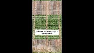  A game changer for Aussie growers: Celebrating 20 years of NVT #NVT20Years #GRDC