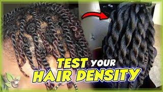 HAIR DENSITY - How to TEST and INCREASE it