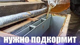 Весенняя подкормка пчел сахарным сиропом. Весенние работы на пасеке