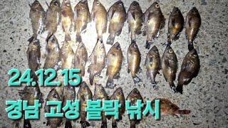 경남 고성 볼락 낚시(24.12.15)7물