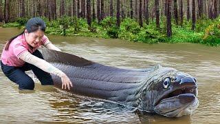 Harvest Many Giant Eels in River to sell - Survival Fishing, Traps Fish, Catch Fish